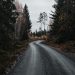 gray asphalt road between green trees under gray sky during daytime